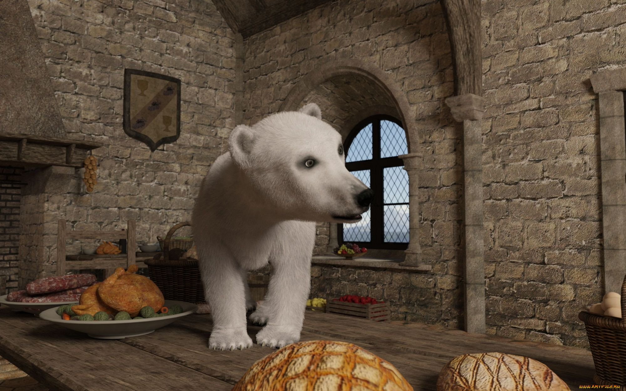3 ,  , animals, , 